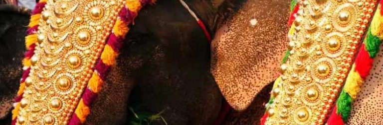 ഉത്സവത്തിന് ആനയെഴുന്നള്ളിപ്പ്: മാർഗനിർദ്ദേശങ്ങൾ പുറത്തിറക്കി