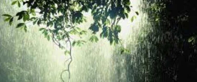 മഴ വരുന്നൂ… ഈ 2 ജില്ലകളിൽ യെല്ലോ അലർട്ട്&nbsp;