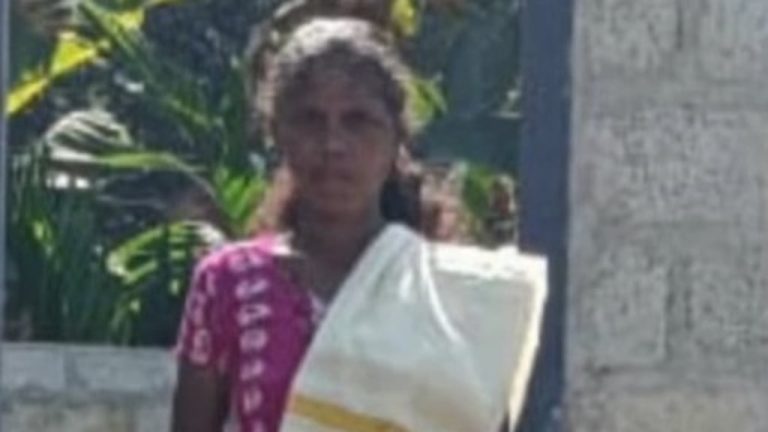 ആടിനെ മേയ്ക്കാന്‍ പോയി; മലപ്പുറത്ത് കാട്ടാന ആക്രമണത്തില്‍ ആദിവാസി സ്ത്രീ മരിച്ചു