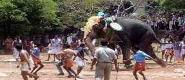 തൃശൂരിൽ എഴുന്നള്ളിപ്പിൽ ആനയിടഞ്ഞു