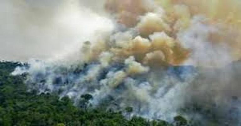 വയനാട്ടിൽ കാട്ടുതീ: കമ്പമല കത്തുന്നു