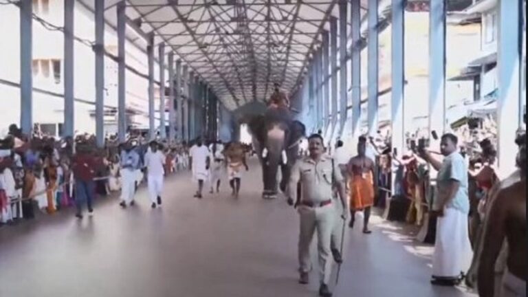 ഗുരുവായൂര്‍ ആനയോട്ടം; കൊമ്പന്‍ ബാലു വിജയി