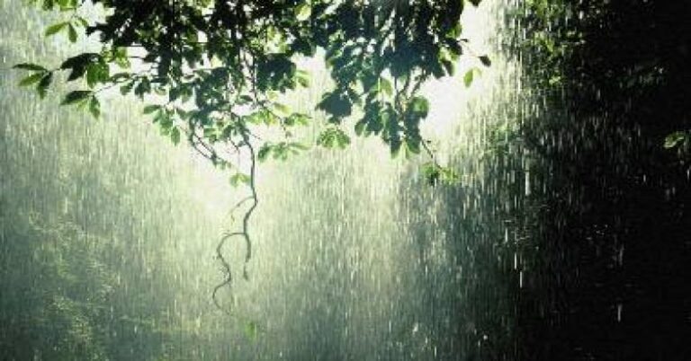 സംസ്ഥാനത്ത് ഇന്നും വേനൽമഴക്ക് സാധ്യത; മൂന്ന് ദിവസം വിവിധ ജില്ലകളിൽ യെല്ലോ അലർട്ട്