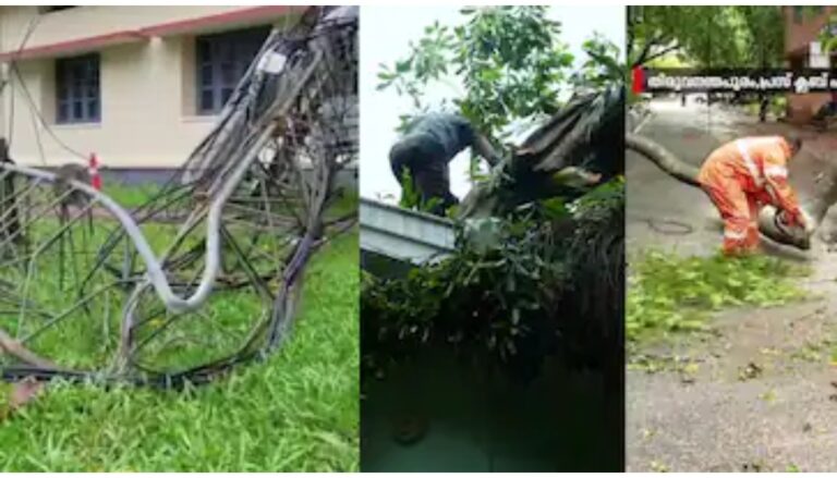 കാലവർഷം നേരത്തെയെത്തി, മഴക്കെടുതിയും: മൊബൈൽ ടവർ നിലംപൊത്തി, മരങ്ങൾ കടപുഴകി; ജില്ലകളിൽ വലിയ നാശനഷ്ടം