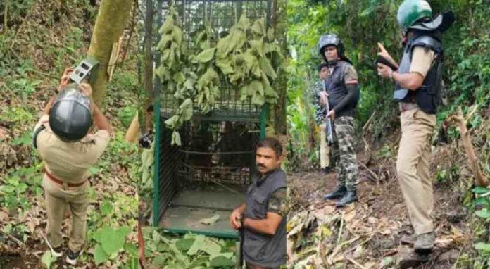 kalikavu-1.jpg