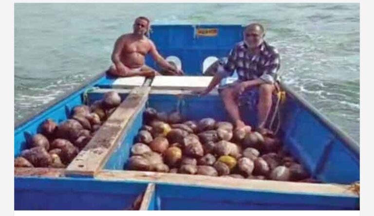 അഴീക്കലിൽനിന്ന് മീൻപിടിക്കാൻ പോയവർക്ക് കടലിൽ നിന്ന് കിട്ടിയത് ആയിരക്കണക്കിന് തേങ്ങ; ഉപയോഗത്തിനുള്ളത് മാറ്റിവെച്ച് ബാക്കി വിറ്റു