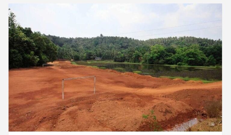 അനധികൃതമായി നികത്തിയ നെൽപ്പാടം പൂർവസ്ഥിതിയിലാക്കാൻ റിവോൾവിങ് ഫണ്ട്; റവന്യുവകുപ്പ് നൽകുക ഒന്നരക്കോടിരൂപ