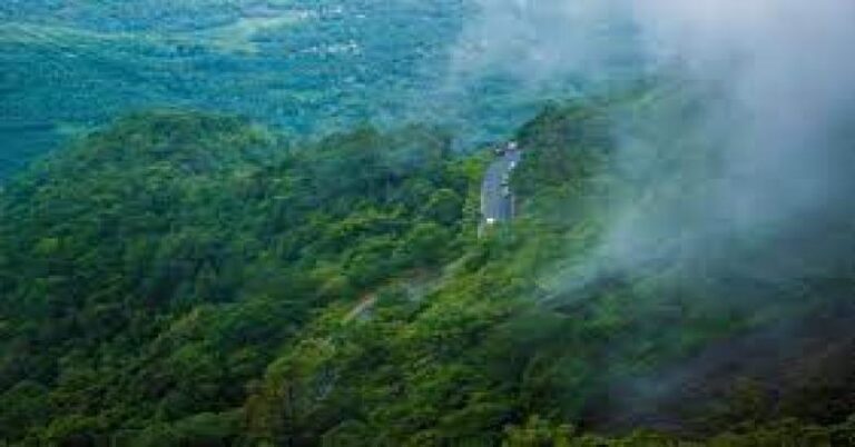 മഴയുടെ ശക്തി കുറഞ്ഞതോടെ വയനാട്ടിൽ അടച്ചിട്ട ടൂറിസ്റ്റ് കേന്ദ്രങ്ങൾ തുറക്കാൻ അനുമതി