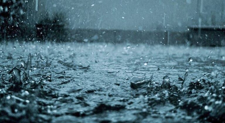 സംസ്ഥാനത്ത് ശക്തമായ മഴ തുടരും; 8 ജില്ലകളിൽ യെല്ലോ അലർട്ട്