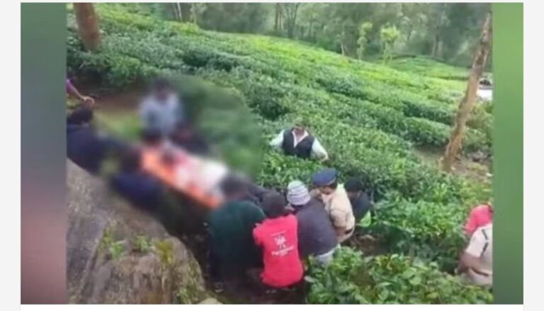 മൂന്നാറിൽ ട്രക്കിങ് ജീപ്പ് 50 അടി താഴ്ചയിലേക്ക് മറിഞ്ഞ് അപകടം; ഒരാൾക്ക് ദാരുണാന്ത്യം