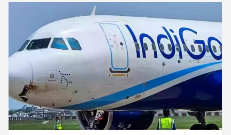 പറന്നുയർന്ന് മിനിറ്റുകൾക്കുള്ളിൽ വിമാനത്തിൽ പക്ഷി ഇടിച്ചു; 169 യാത്രക്കാരുമായി പട്‌നയിൽ ഇൻഡിഗോ വിമാനം അടിയന്തര ലാൻഡിംഗ് നടത്തി