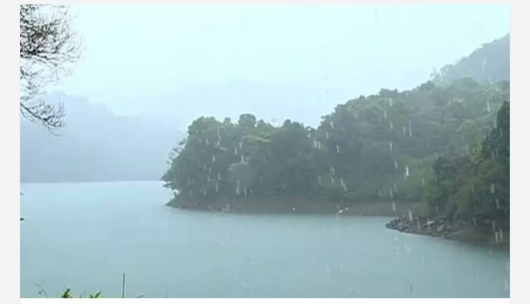 കനത്ത മഴ; നദികളിൽ ജലനിരപ്പ് ഉയരുന്നു, അലർട്ടുമായി സംസ്ഥാന ജലസേചന വകുപ്പ്