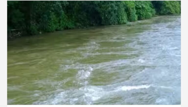 വിദേശയാത്രകൾക്ക് 350 കോടി രൂപ, പ്രധാനമന്ത്രിയുടെ യാത്ര ചിലവുകൾ പുറത്തുവിട്ട് കേന്ദ്രസർക്കാർ