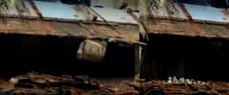 കോട്ടയം മെഡിക്കൽ കോളജിലെ കെട്ടിടം തകർന്നു വീണ സംഭവം:&nbsp;&nbsp; ഇടിഞ്ഞത് ശുചിമുറിയുടെ ഭാഗമെന്ന് ആരോഗ്യമന്ത്രി