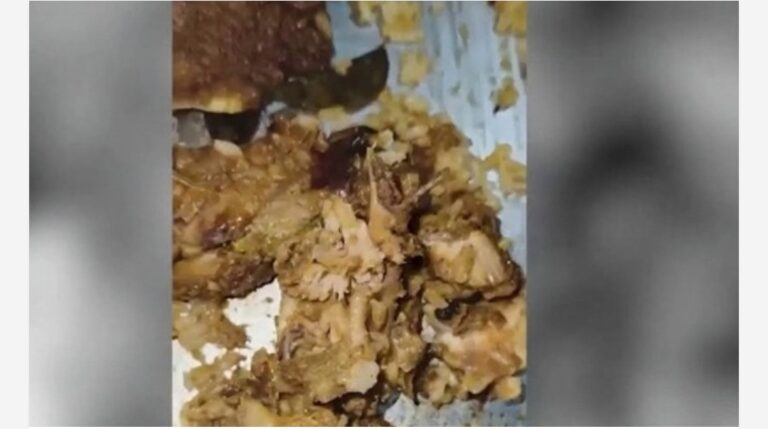 ബാലുശ്ശേരി കോക്കല്ലൂരിലെ ഹോട്ടലിൽ നിന്നും വാങ്ങിയ ബിരിയാണിയിൽ പുഴുവിനെ കണ്ടെത്തിയ സംഭവം; ഹോട്ടൽ അടപ്പിച്ചു