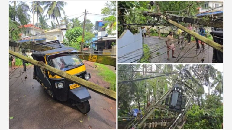 നാടിനെ വിറപ്പിച്ച് മിന്നൽ ചുഴലി; അഞ്ച് മിനിറ്റിലധികം നീണ്ടുനിന്ന കാറ്റിൽ നിലം പതിച്ചത് ഇലക്ട്രിക് പോസ്റ്റുകളും തെങ്ങുകളും; ആളപായമില്ല