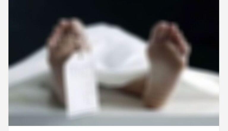 പാകിസ്താനിൽ പിക്നിക് സംഘത്തിനുനേരെ അജ്ഞാതന്റെ വെടിവെപ്പ്; ഒരു കുടുംബത്തിലെ 7 പേർ കൊല്ലപ്പെട്ടു; ഒരാൾക്ക് പരിക്ക്