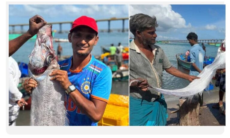 വീണ്ടും ഇന്ത്യൻ തീരത്തെത്തി ഓർ മത്സ്യം; വരാനിരിക്കുന്ന വലിയ ദുരന്തത്തിന്റെ സൂചനയോ? ആശങ്ക ഒഴിയുന്നില്ല  