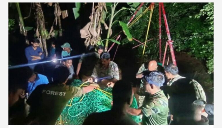 കോഴിക്കോട് കൂടരഞ്ഞിയിൽ കിണറ്റിൽ വീണ പുലിയെ പുറത്തെച്ചു; താമരശ്ശേരി റേഞ്ച് ഓഫീസിലേക്ക് മാറ്റിയ പുലി ആരോഗ്യവാനെന്ന് വനംവകുപ്പ്