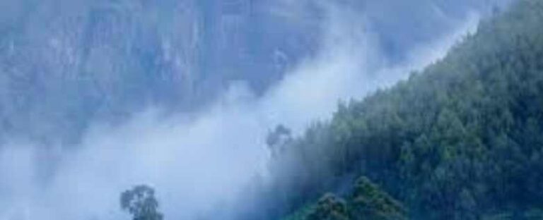 മൂന്നാറിൽ അതിശൈത്യം തുടരുന്നു: താപനില പൂജ്യം ഡിഗ്രി സെൽഷ്യസ്