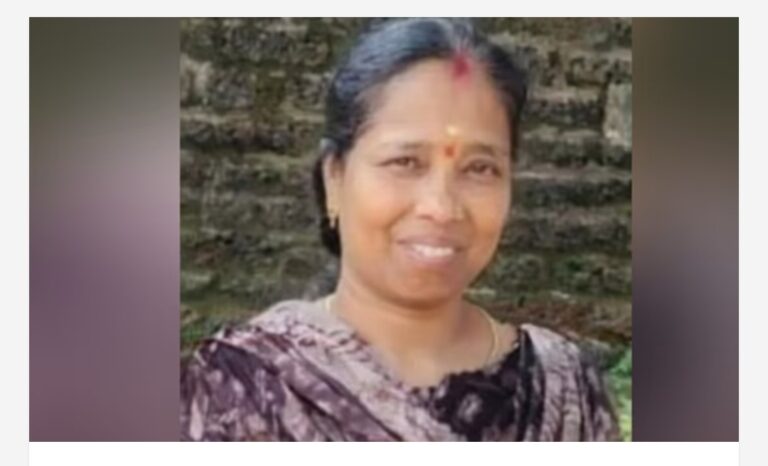 റോഡിലെ കുഴിയില്‍ ചാടിയ ബൈക്ക് നിയന്ത്രണം വിട്ട് മറിഞ്ഞ് അപകടം; മകനൊപ്പം യാത്ര ചെയ്തിരുന്ന അമ്മ റോഡിലേക്ക് തെറിച്ചുവീണു; ദാരുണാന്ത്യം