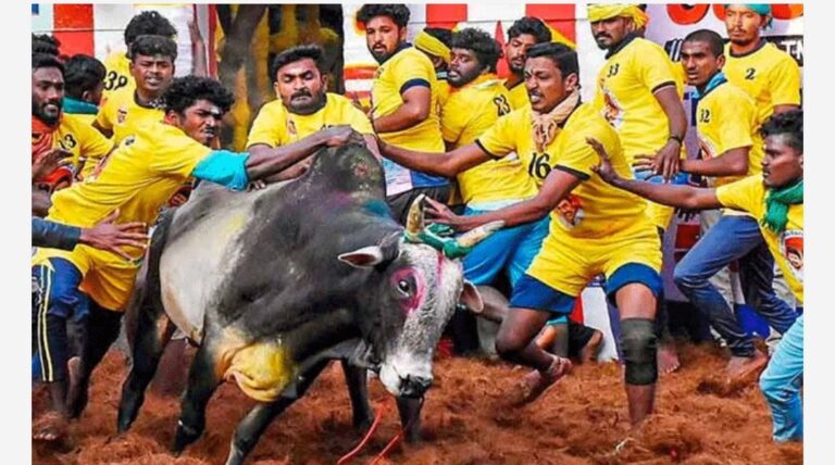 ജെല്ലിക്കെട്ടിൽ ഏറ്റവും കൂടുതൽ കാളകളെ മെരുക്കുന്നവർക്ക് സർക്കാർ ജോലി; പ്രഖ്യാപനവുമായി തമിഴ്നാട് മുഖ്യമന്ത്രി എം.കെ സ്റ്റാലിൻ