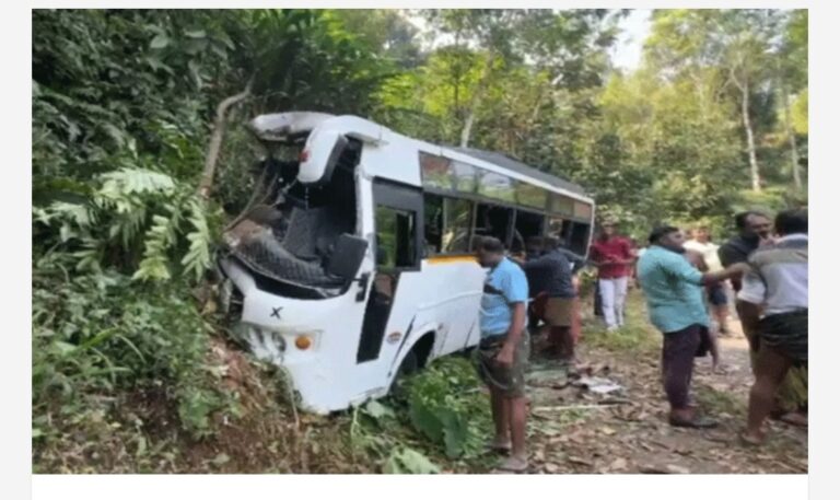 ഇടുക്കിയിൽ വിനോദ സഞ്ചാരികളുമായെത്തിയ ബസ് തിട്ടയിൽ ഇടിച്ച് മറിഞ്ഞു; 18 പേർക്ക് പരിക്ക്