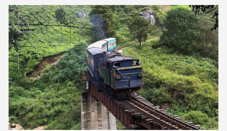 ഊട്ടിയുടെ സൗന്ദര്യം കാണാൻ പൈതൃക ട്രെയിൻ വാടകയ്ക്ക്; ജർമൻ സംഘത്തിന് 3 ലക്ഷം ചെലവ്