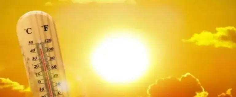 വെന്തുരുകി കേരളം; 12 ജില്ലകളിൽ യെല്ലോ അലർട്ട്