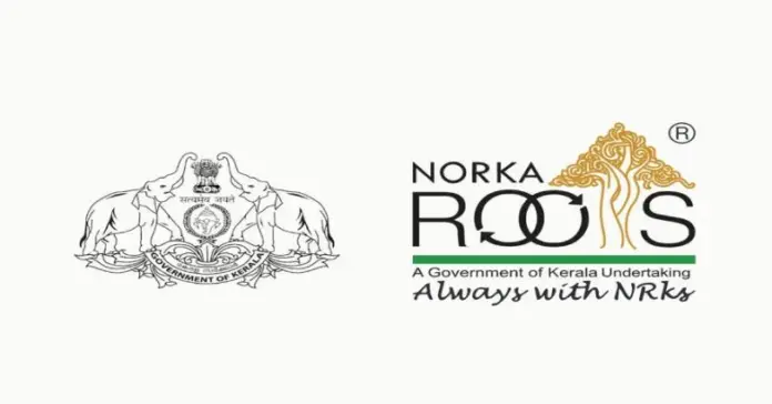 norka-jpg-20260203032613.webp