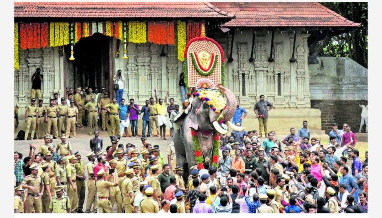 തൃശ്ശൂർ പൂരം ആർഭാടങ്ങളില്ലാതെ? വെടിക്കെട്ട് ഒഴിവാക്കാൻ ആലോചന; സർക്കാർ തീരുമാനം കാത്ത് ദേവസ്വം