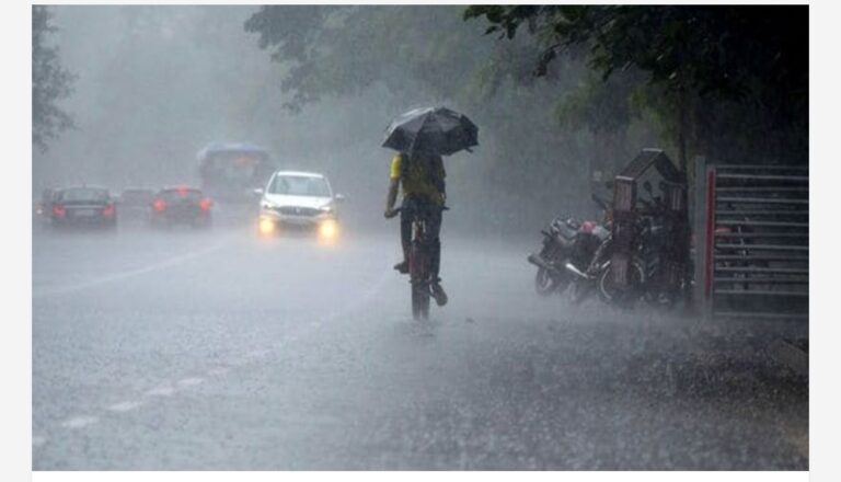 കേരളത്തിൽ അഞ്ചുദിവസം മഴ തുടരും; വിവിധ ജില്ലകളിൽ യെല്ലോ അലർട്ട്