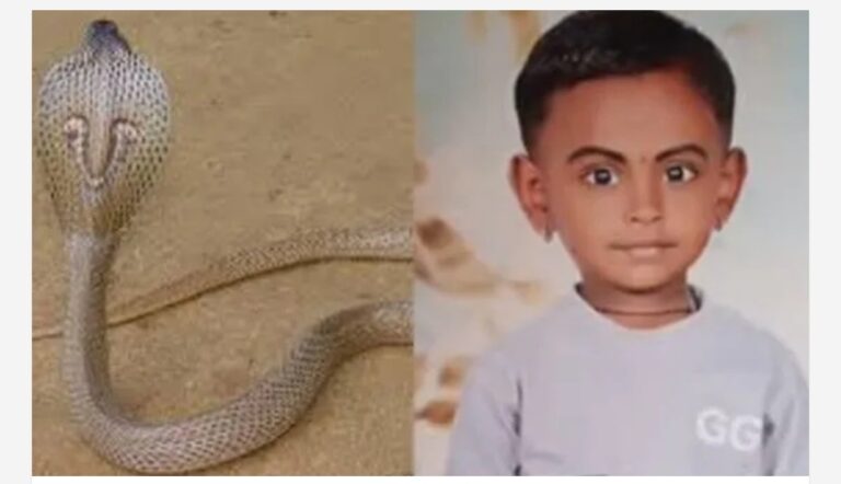 മുറ്റത്ത് കളിക്കുമ്പോൾ പാമ്പുകടി; കാസർകോട് നാലര വയസുകാരിക്ക് ദാരുണാന്ത്യം