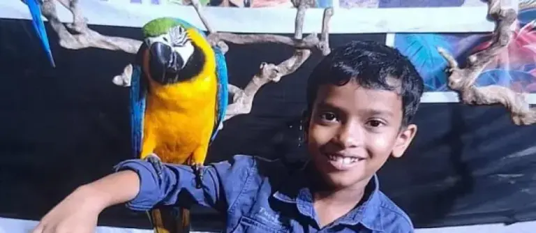 കുട്ടികൾ ഉറങ്ങിക്കിടക്കുന്നതിനിടെ തലയണയുടെ അടിയിൽ വിഷപ്പാമ്പ്; പാമ്പ് കടിയേറ്റ് എട്ട് വയസ്സുകാരന് ദാരുണാന്ത്യം