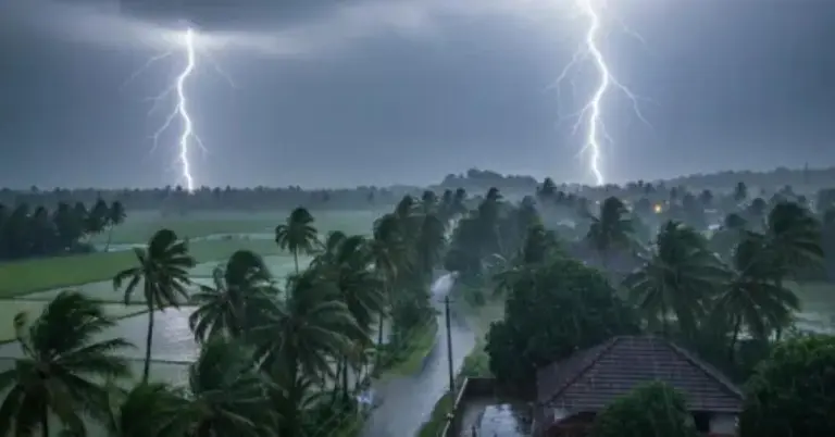 സംസ്ഥാനം ചൂടില്‍ വെന്തുരുകുമ്പോള്‍ ആശ്വാസമായി മഴ; നാല് ജില്ലകളില്‍ യെല്ലോ അലര്‍ട്ട്
