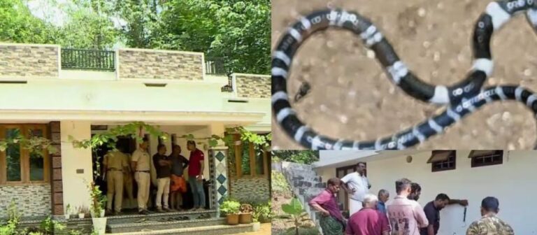 എട്ടുവയസുകാരൻ പാമ്പുകടിയേറ്റ് മരിച്ച സംഭവം: വീടിന്റെ തറ പൊളിച്ച് പരിശോധന, അഞ്ചാമത്തെ പാമ്പിനെയും പിടികൂടി