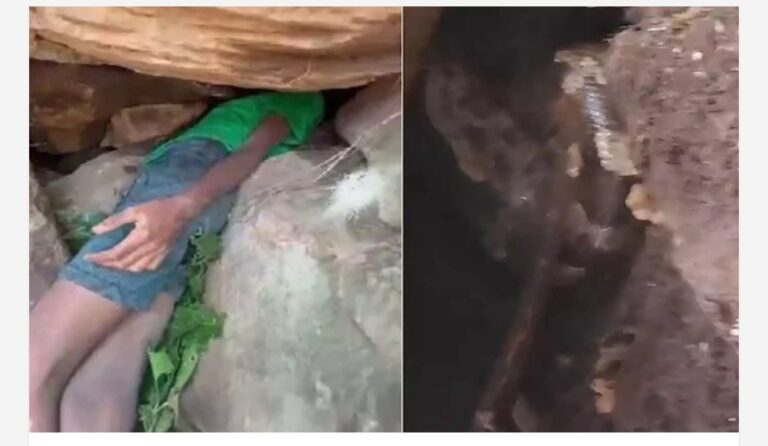 പാറയിടുക്കിൽ തല കുടുങ്ങി എട്ട് മണിക്കൂർ; മുഖത്തിന് മുന്നിൽ വിഷപ്പാമ്പുമായി മരണപ്പോര്