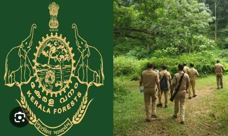 ഭരണമാറ്റത്തിന് മുൻപ് വനംവകുപ്പിൽ വൻ അഴിച്ചുപണി; കോടികളുടെ അഴിമതി കേസുകൾ അതിവേഗം ഒതുക്കി; 20 ഉദ്യോഗസ്ഥർക്ക് കൂട്ടത്തോടെ ക്ലീൻ ചിറ്റ്