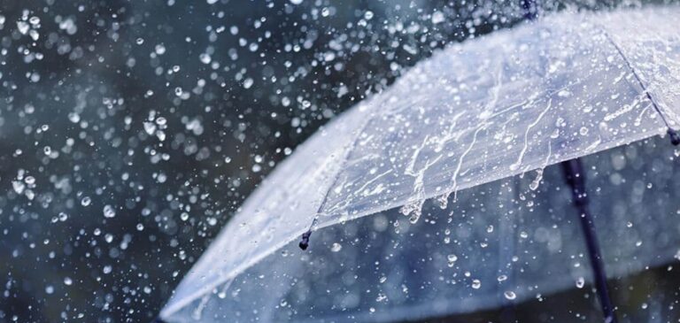 ഇന്നും മഴ തുടരും; അഞ്ച് ജില്ലകളില്‍ യെല്ലോ അലേര്‍ട്ട്