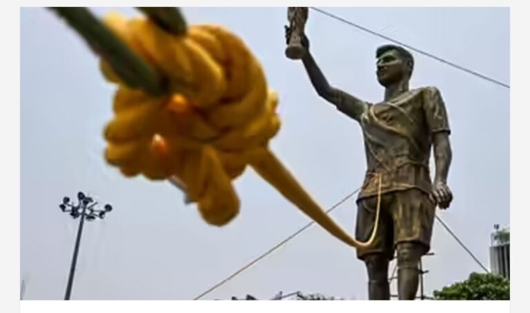 മെസി ശിൽപത്തിന് സുരക്ഷാ ഭീഷണി; 70 അടി ഉയരമുള്ള പ്രതിമ നീക്കാൻ അധികൃതർ