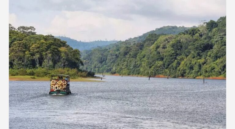 മൂന്ന് ദിവസമായി കാണാതായിരുന്നു; അപ്പോളോ ടയേഴ്‌സ് ജീവനക്കാരന്റെ മൃതദേഹം പെരിയാറിൽ കണ്ടെത്തി